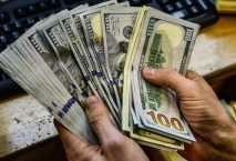 Dollar rates show relative stability against Egyptian pound 