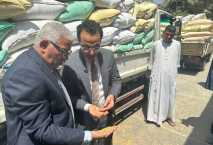 Government sets wheat purchase price to EGP 2200 