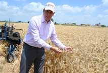 Supply Minister announces 5-month strategic wheat reserve 