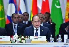 Sisi calls for stronger ties, joint ventures within BRICS+