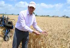 Supply Minister announces 5-month strategic wheat reserve  