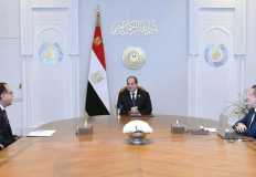 Sisi orders supply boost for industry, production  