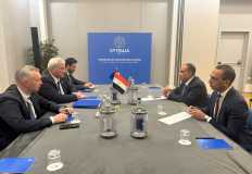 Egypt, Ukraine cooperate to facilitate exports, attract investments to Africa  