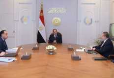 Sisi: Boosting foreign reserves for industry, production  