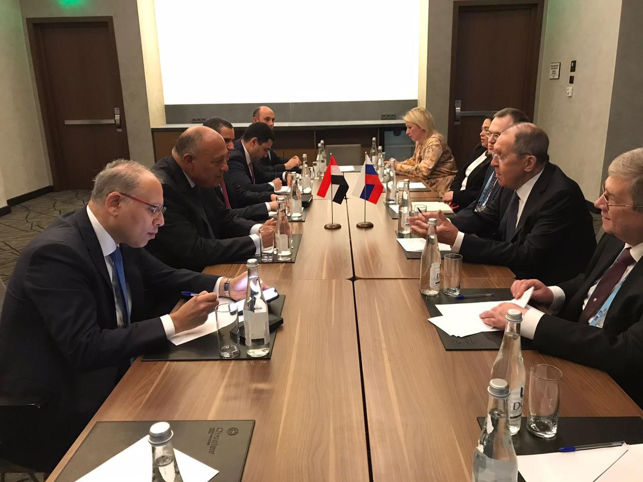 Shoukry hails progress in Russia's Suez Canal Economic Zone Project