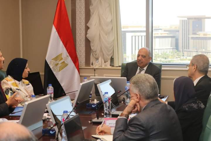 Essmat: Egypt to restructure electricity transmission company