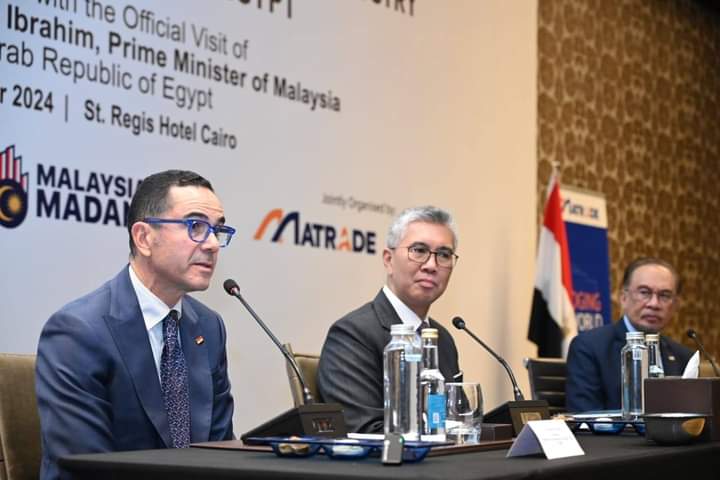 Malaysia, Egypt to cooperate on chip production