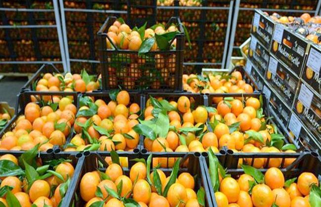 Food exports soar, Saudi Arabia tops import list