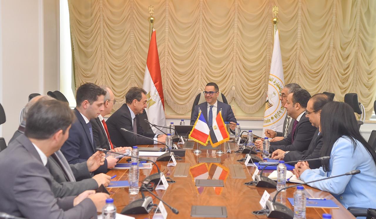 Egypt to develop aviation sector with French, Airbus support