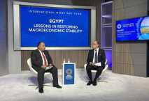وزير المالية : نتطلع لاستحواذ القطاع الخاص على أكثر من ٧٠٪ من الاقتصاد المصرى 