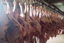 وزير التموين يؤكد ضخ كميات كبيرة من اللحوم الطازجة والمبردة بالمجمعات الاستهلاكية 