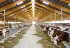 الزراعة : 15 نصيحة لتخفيف تأثير الحر على الثروة الحيوانية والداجنة