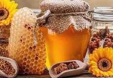 مصر تتصدر صادرات عسل النحل عالميًا بنسبة 25%