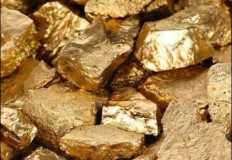 شعبة المعادن: أسعار الذهب العالمية تسجل اعلي مستوياتها خلال 18 شهرا والجرام يترفع 30 جنيها محليا