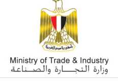 وزارة التجارة تستعد لتلقي مقترحات "شعبة السيارات" بشأن مشكلة "ضوابط الاستيراد"