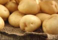زيادة سعر توريد البطاطس لمصانع "الشيبسي" بنسبة 70٪ عن العام الماضي
