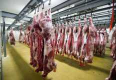 تراجع أسعار اللحوم في الأسواق المحلية اليوم الثلاثاء  