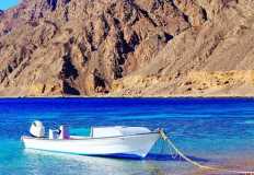 البيئة : تزايد أعداد سائحي الرحلات البحرية بمحميات البحر الأحمر في العيد  