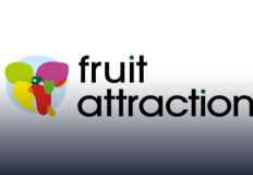 مشاركة مصرية واسعة في معرض "fruit attraction" .. صادراتنا تقتحم 65 سوقًا جديدًا