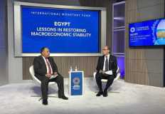 وزير المالية : نتطلع لاستحواذ القطاع الخاص على أكثر من ٧٠٪ من الاقتصاد المصرى