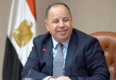 عاجل| المالية: ٢ مليار دولار إيرادات متوقعة لمبادرة سيارات المصريين بالخارج  