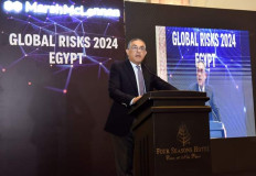 هيبة : تنوع الاقتصاد والأنظمة الاستثمارية يحمى مصر من مخاطر الاقتصاد العالمي