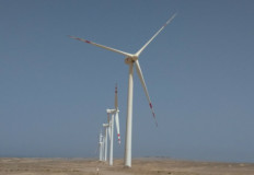 وكالة الطاقة الدولية: المصادر المتجددة تُلبي 75% من نمو الطلب على الكهرباء عالميًا