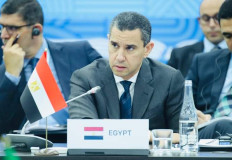 الممثل الشخصى للرئيس السيسى يرأس وفد مصر للإعداد لقمة العشرين فى البرازيل