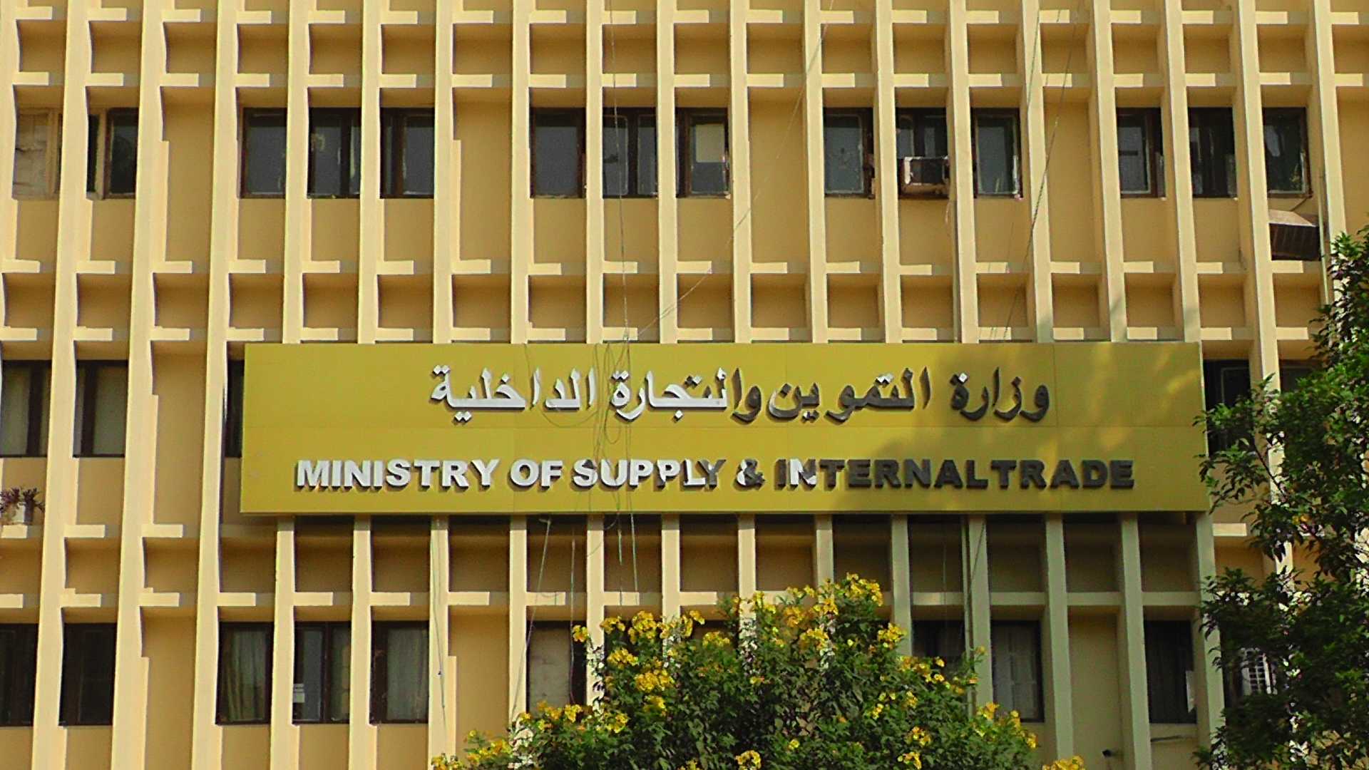وزارة التموين والتجارة الداخلية