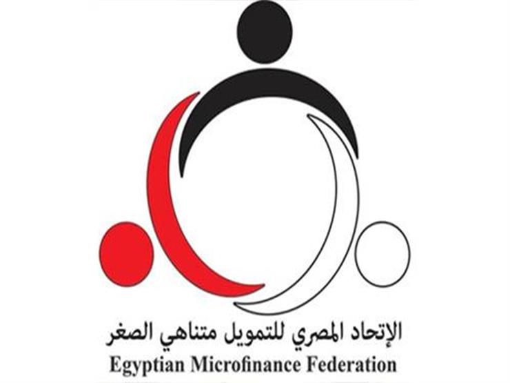 الاتحاد المصري لتمويل المشروعات الصغيرة