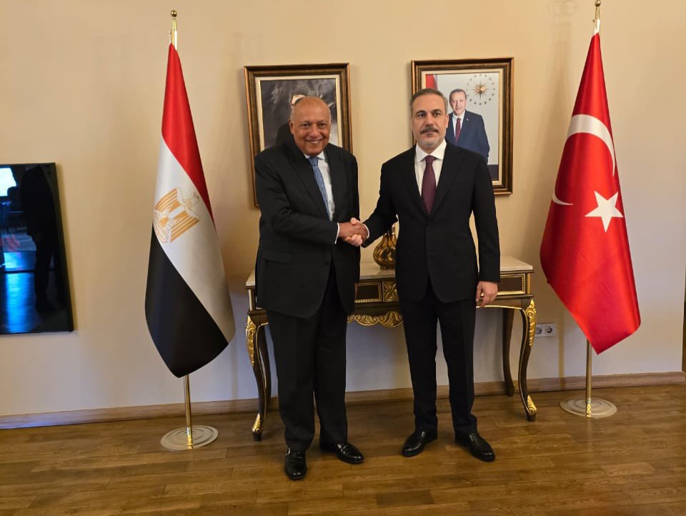 وزيرا خارجية مصر وتركيا خلال لقائهما في اسطنبول